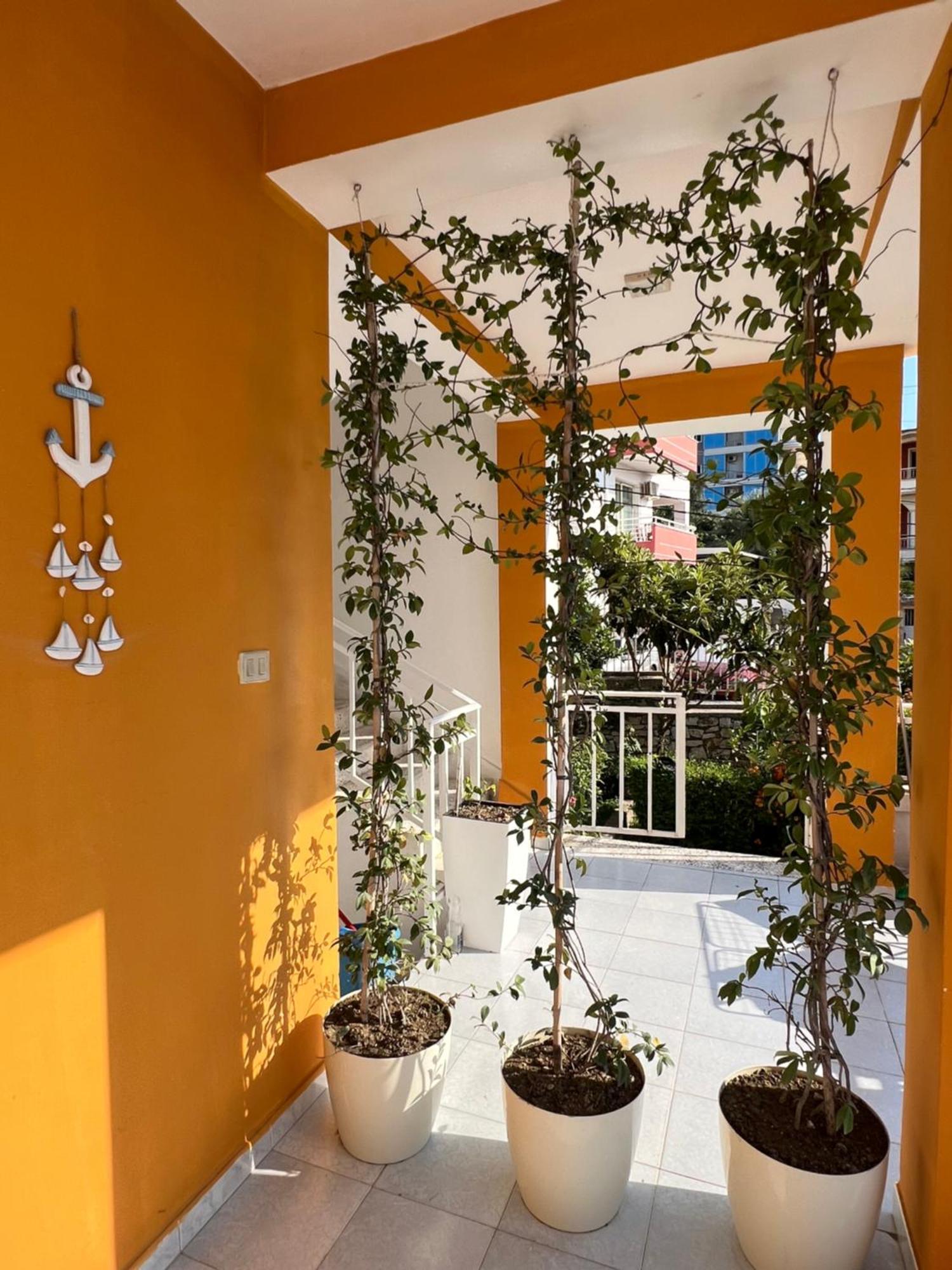 Mimi'S Apartments Vlorë Exterior foto
